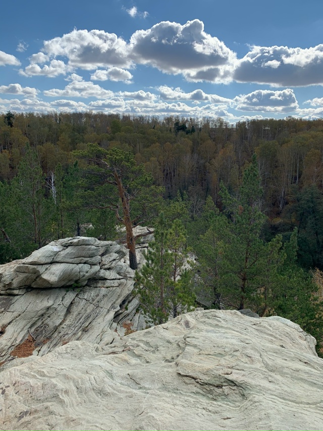 ? В Карагайском бору у реки Губерля — настоящая приро...