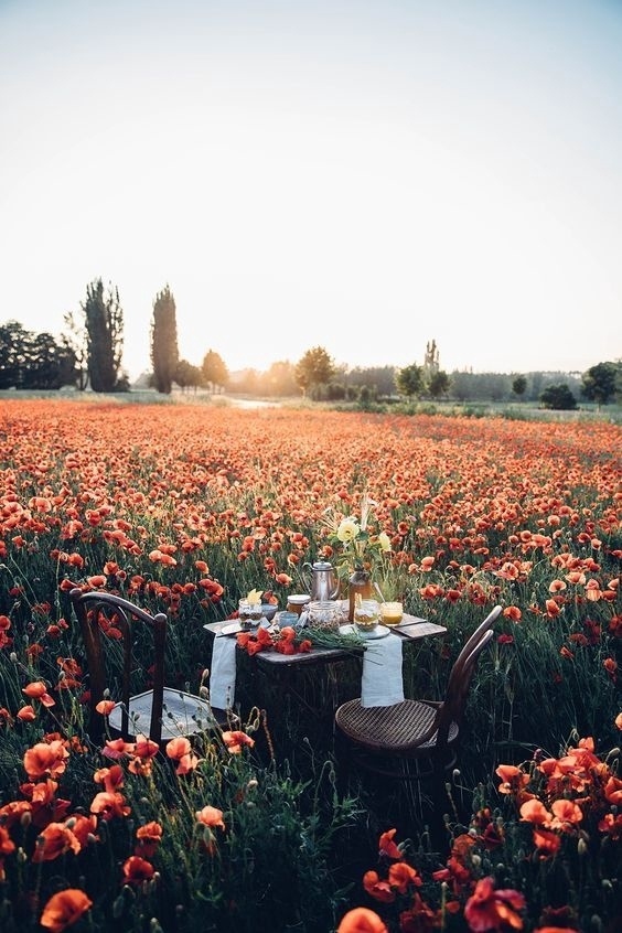 Хорошее чаепитие поправит любую ситуацию ☺