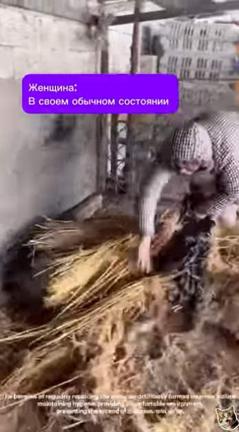 Это вообще законно вот так двери открывать?