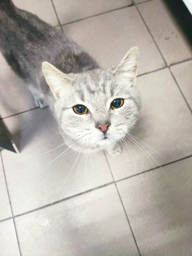 Зашёл в здание на улице Красных партизан 1
Чей потеряшк...