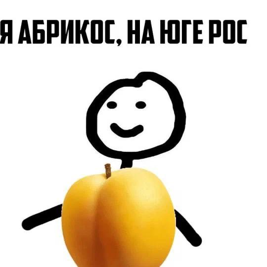 Абрикосы сохраняют молодость.
Врачи утверждают, что богатые калием плоды нормализуют давление, подд