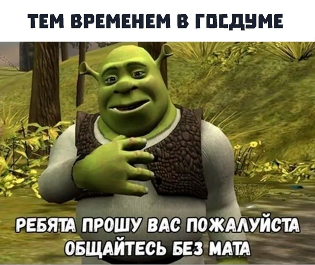 🚫 В Госдуме предложили блокировать материалы с матом ...