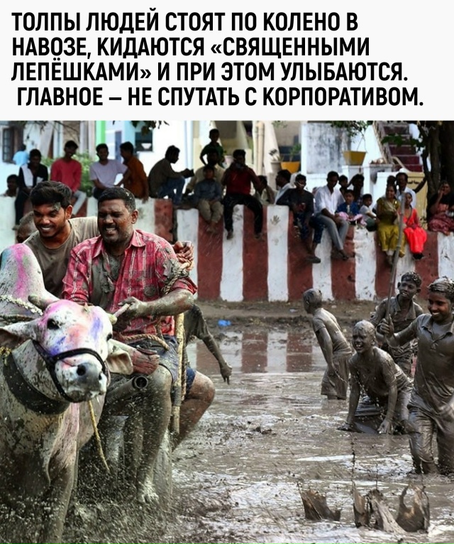 Когда у нас на даче соседи кидаются гнилыми яблоками, э...