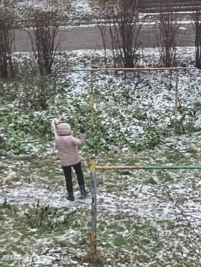 Любительница выгуливать собаку на детской площадке ме...