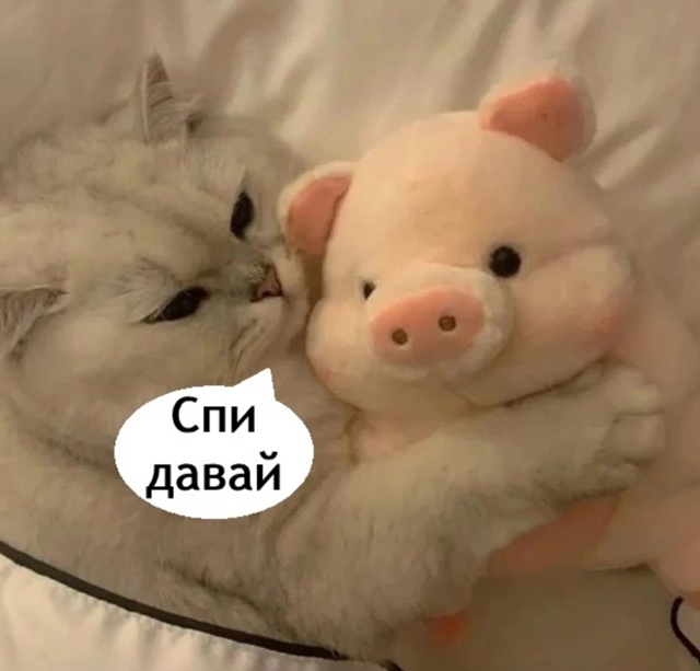 Ой как же это про нас