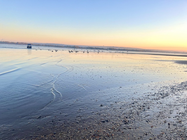 Тот, кто носит в душе радость, всегда найдёт миллион пр?...