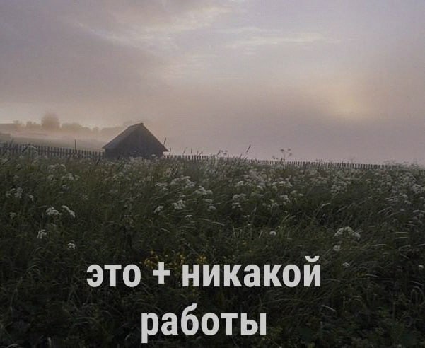 Ночная подборочка
Спать, режим