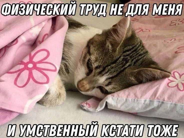 Утренняя подборочка