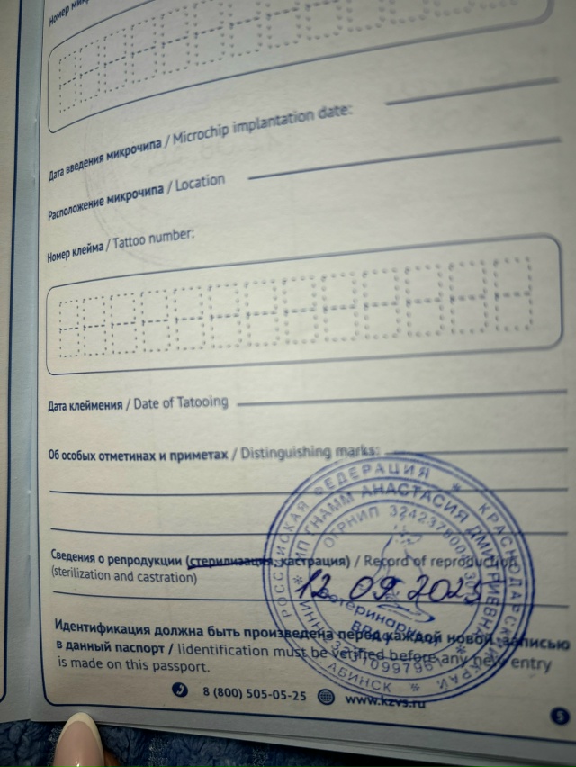 Вот такая красотка ищет дом❤️
Ей 8 месяцев.
Недавно с?...