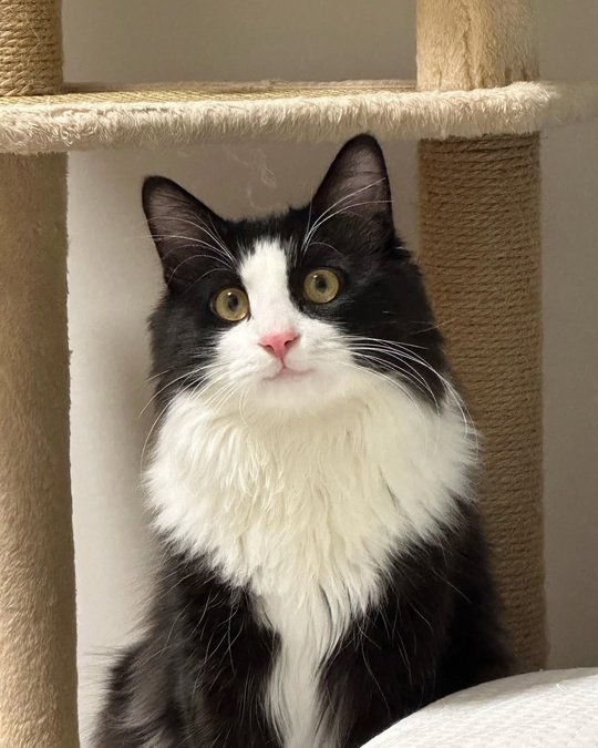 Как изменился малыш, которого я подобрал на улице… 🥺??...