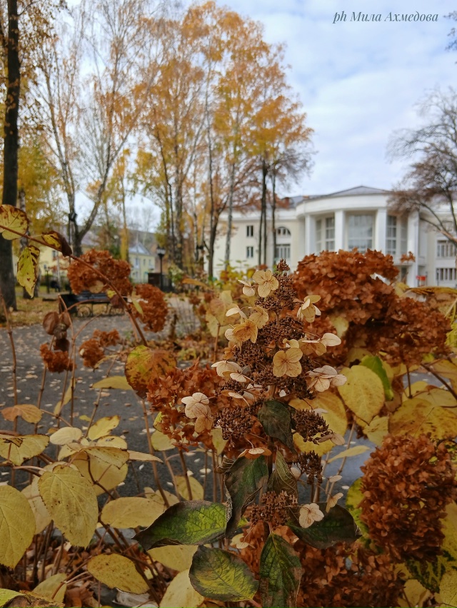 Сквер за Дворцом культуры ,, Жигулёвский,,