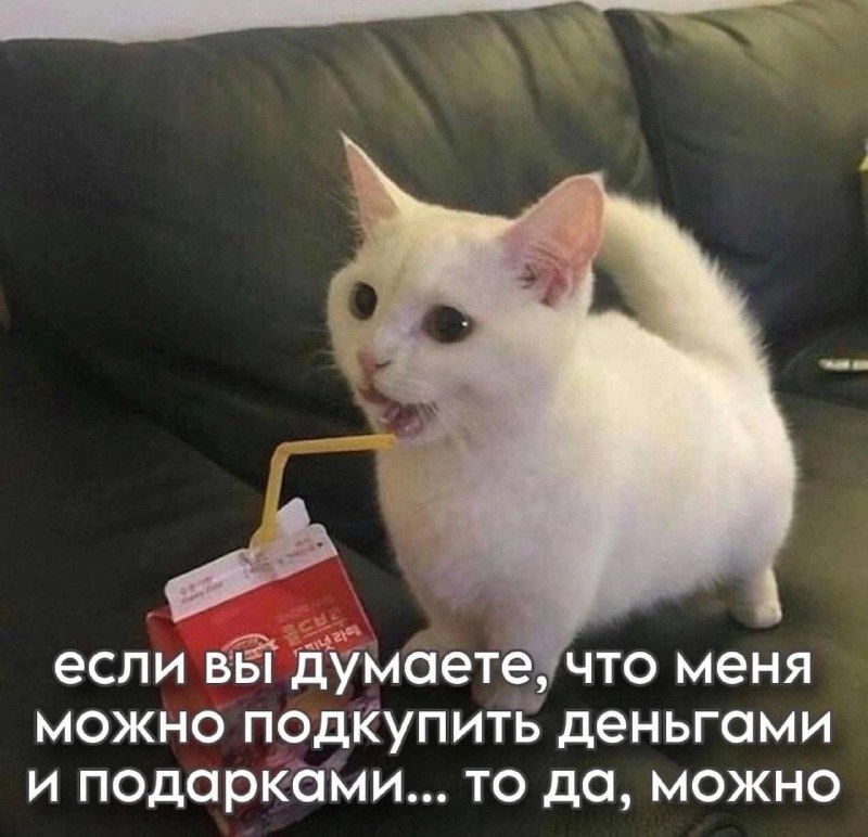Утренняя подборочка