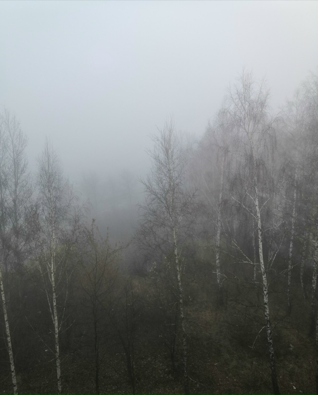 Утро осеннее, утро туманное......