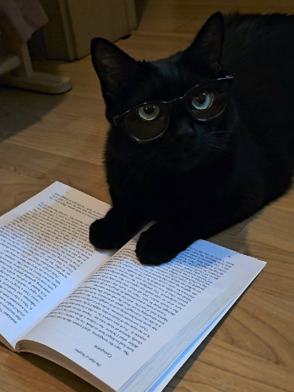 По маим расчётам мы больше не можем содержать тебя, чиловек