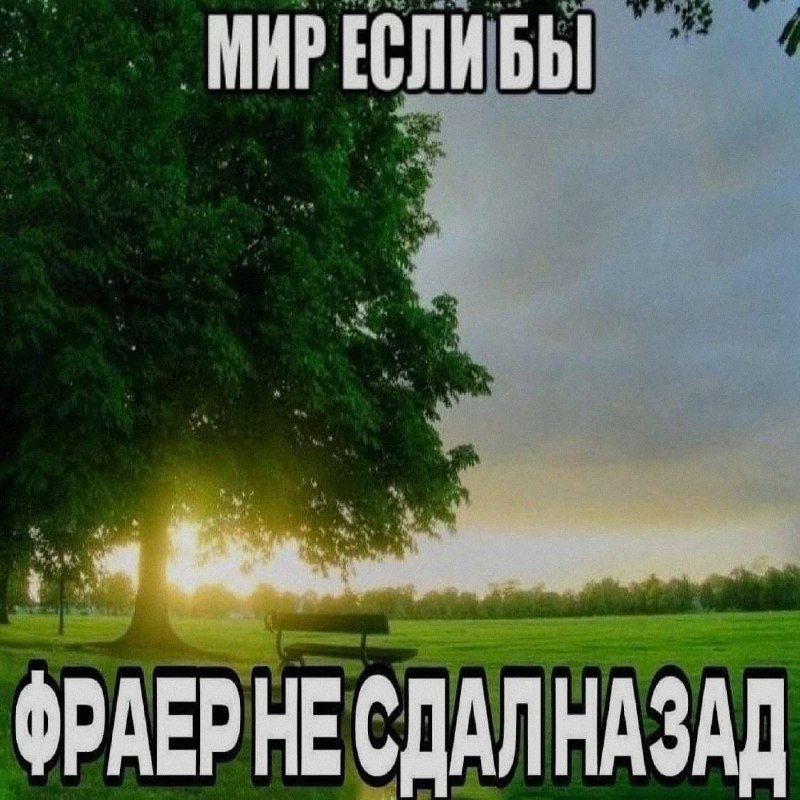 Ночная подборочка
Спать, режим
