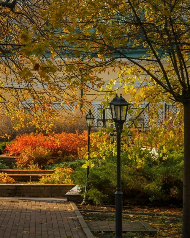 Морозовский садик — часть живописного особняка Мороз?...