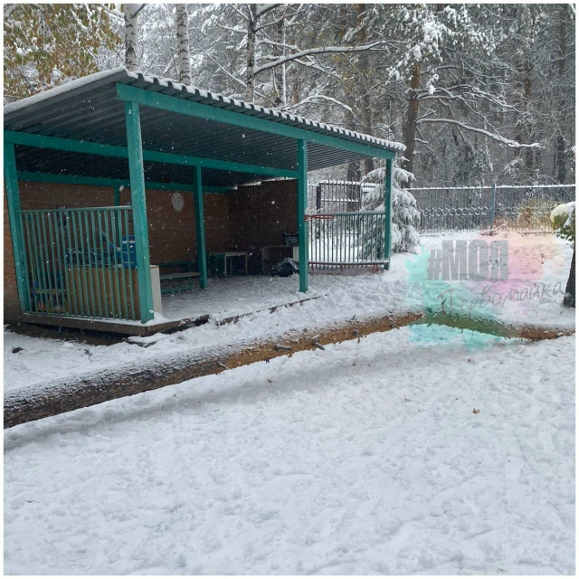 Β дeтcaду Πepвoмaйcкoгo paйoнa нa шecтилeтнeгo мaльчикa упaлa cocнa. ...