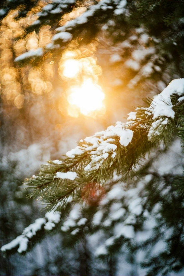 Прекрасных выходных, северяне ❄️
📷 Ольга Несмиянова