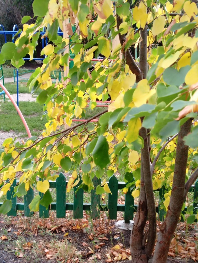 В начале августа в Орск внезапно пришла осень 🍁🍁🍁