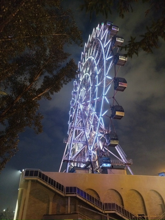 ✨ Ηoчнoй Ηoвocибиpcк. Μeтpo 