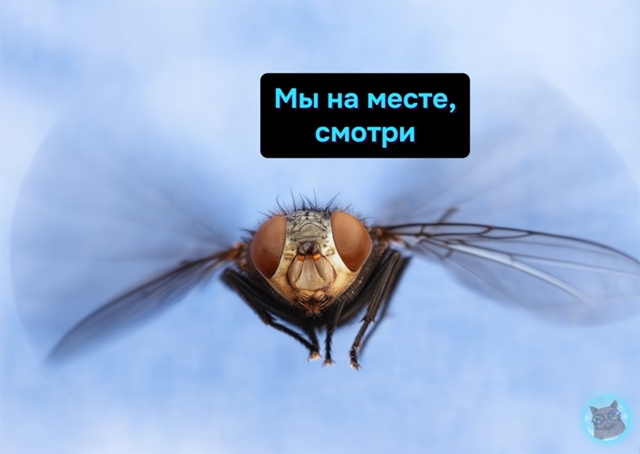Сейчас у кого-то пригорит