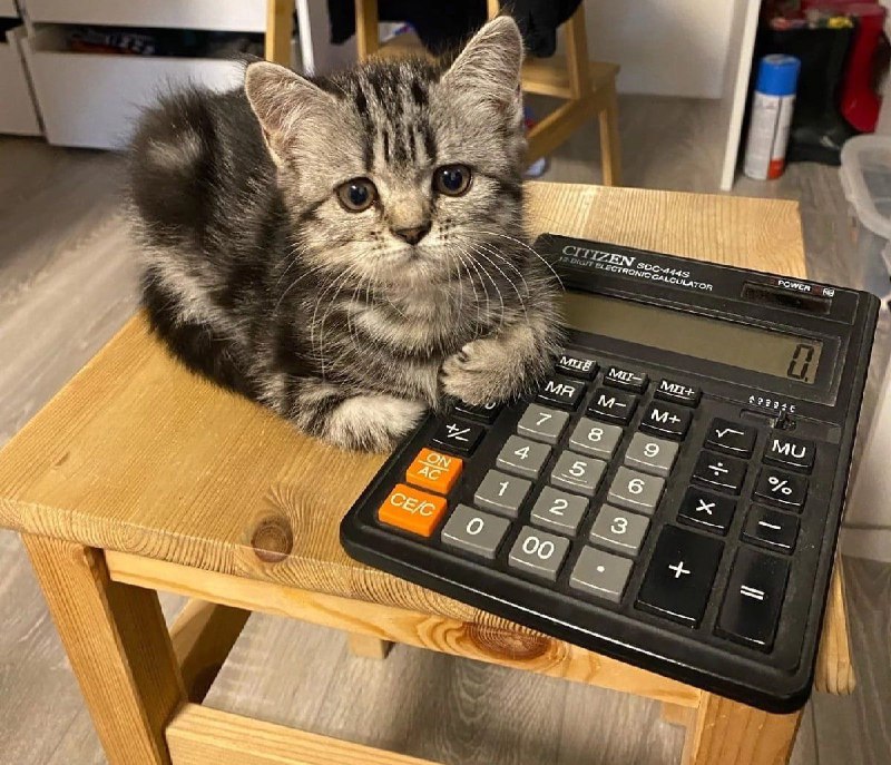 Твой начальник подсчитал твою новогоднюю премию.