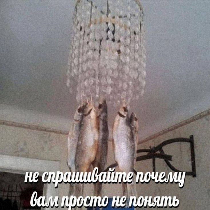 Утренняя подборочка