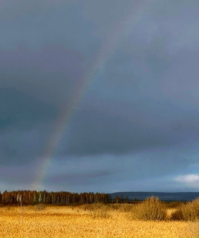 В этой жизни всё возможно и даже радуга в ноябре!
Фото: ...