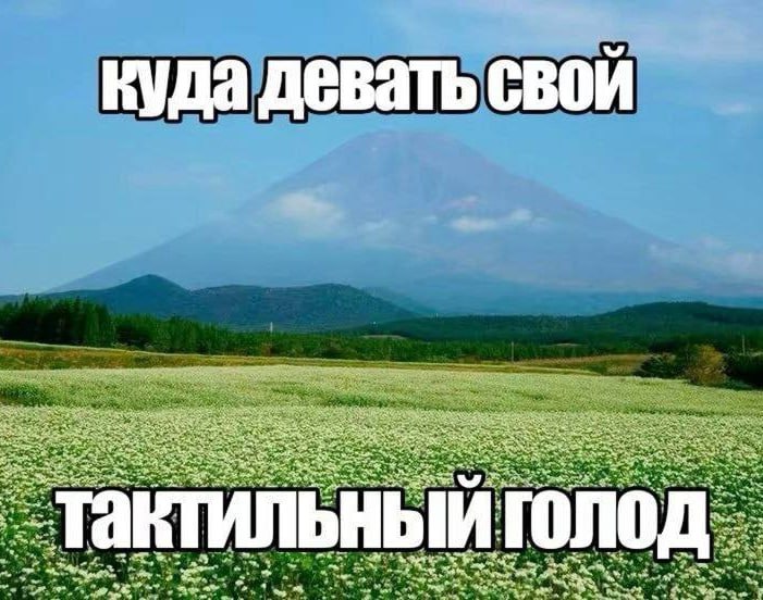 Утренняя подборочка