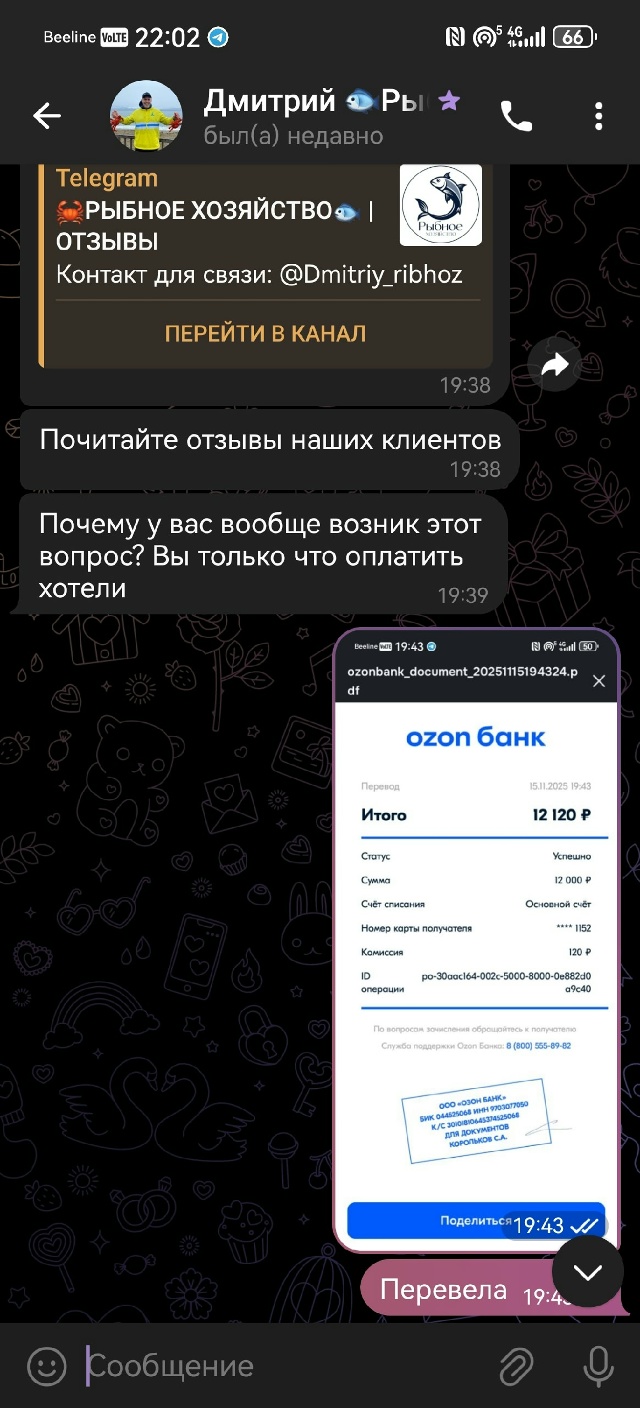 Данный канал в телеграмме разводит людей , просят опла?...