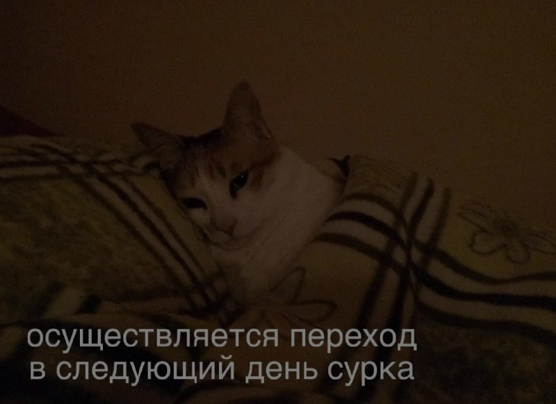 Ночная подборочка
Спать, режим