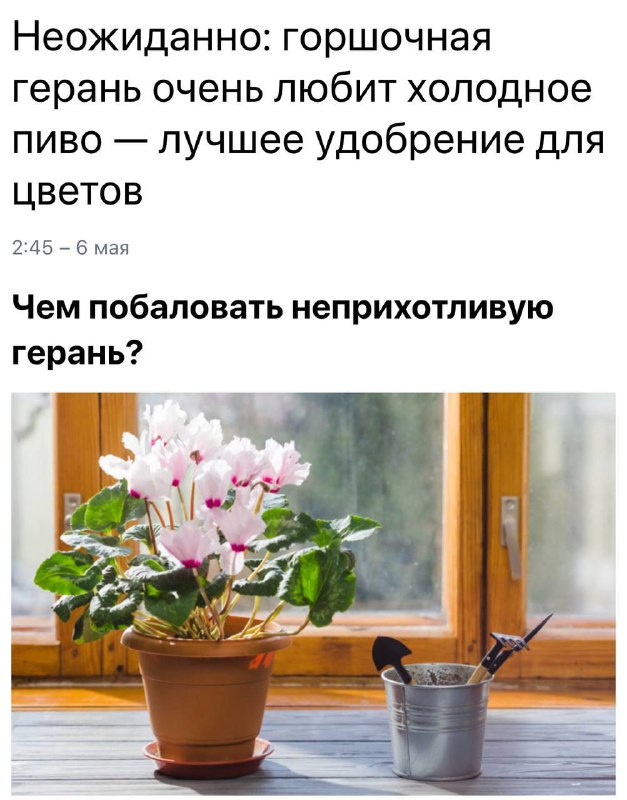 В сети выяснили, что пиво — отличное удобрение для горшочной герани.
Да я не алкаш, просто за гера
