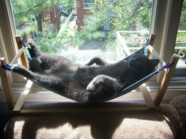 Жизнь удалась и пусть весь мир подождёт...