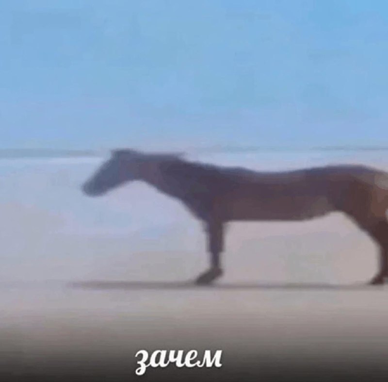 Школьник, набравший на ЕГЭ по математике 99 баллов, решил пересдать экзамен.
Парень из Москвы счит