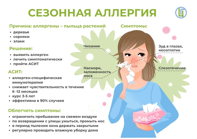 Аллергики, держимся: в России начался сезон амброзии —...