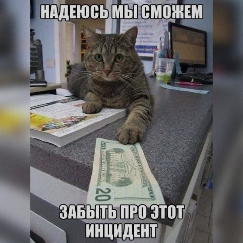 Ночная подборочка
Спать, режим