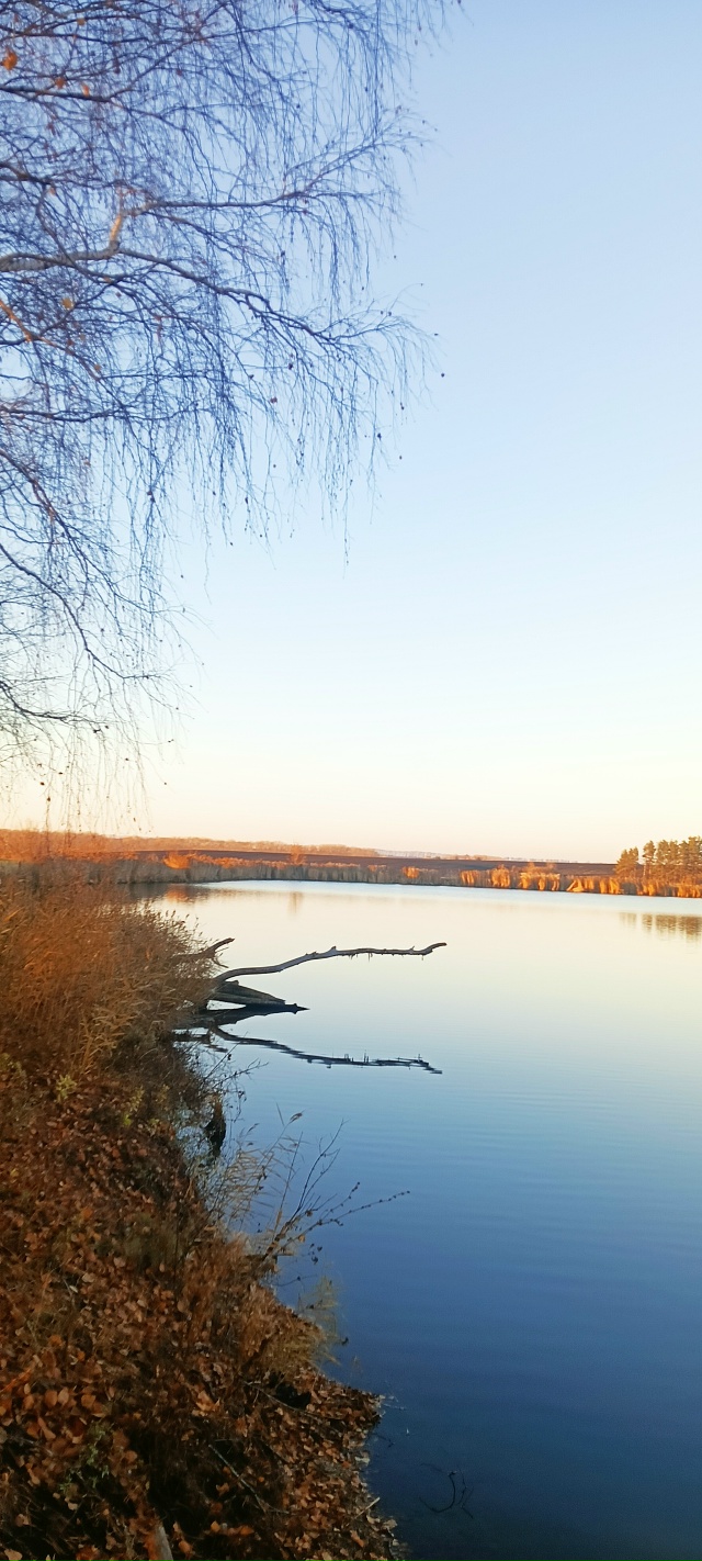 Пруд в Барашево Ульяновской области, кто знает сколько...
