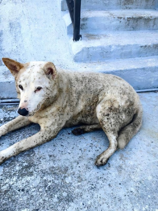 ⚡️После атаки беспилотников на морской терминал в Туапсе уже третьи сутки тушат пожар, и город накры