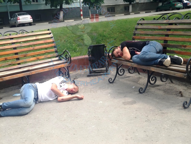 В одном из дворов Воронежа сегодня утром были замечены...