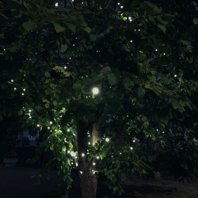 В городе включили освещение💡дождались)
Анонимно.