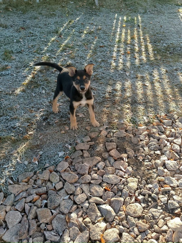 г. Бородино
Даша – 3 месяца
Очень активная, жизнерадост...