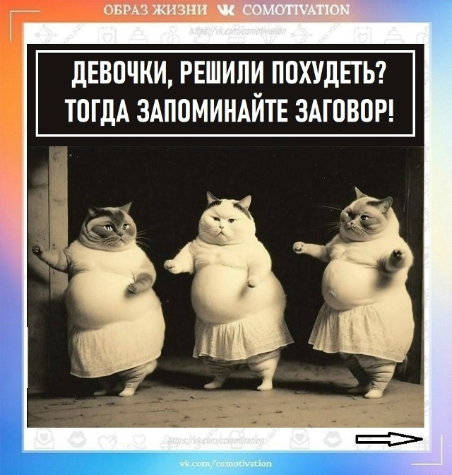 Не благодарите.