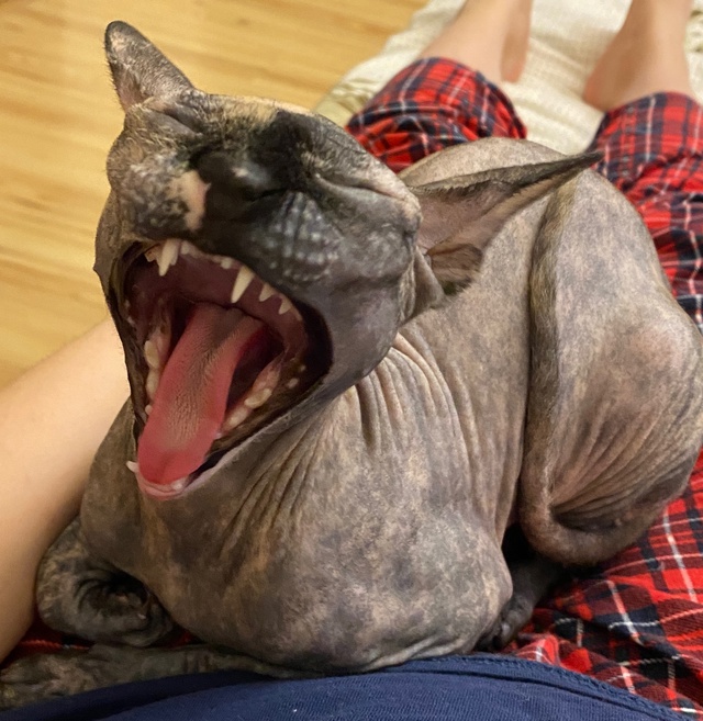 Джульке годик! ?
p.s. Последнее фото сделано в первый д?...