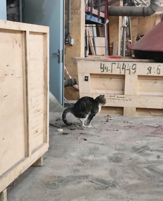 Роман Олегович, ну как вам не стыдно! Вы же мужчина в со?...