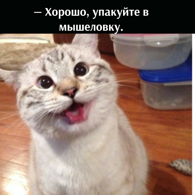 😂