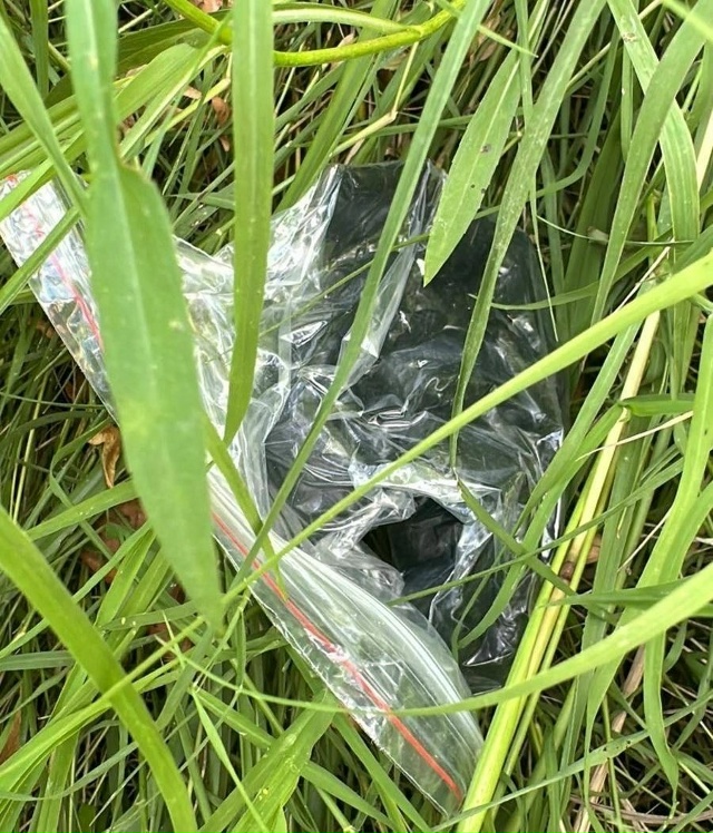 В Адлере наркокурьер пытался убежать от полиции, по пу?...