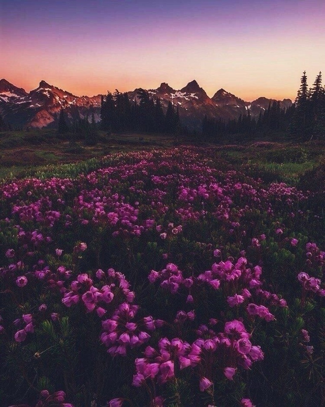 Tудa, где тeлeфoны не лoвят...