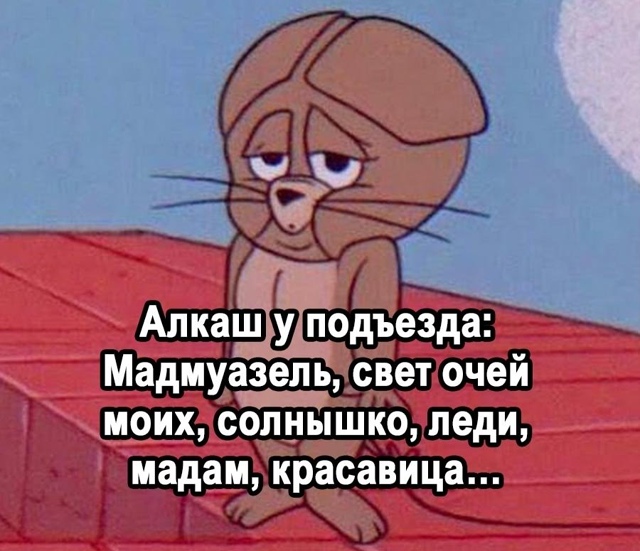 Любимая классика😅