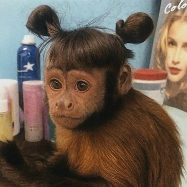 Стоит проверить