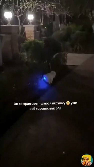 Включил задний поворотник просто...